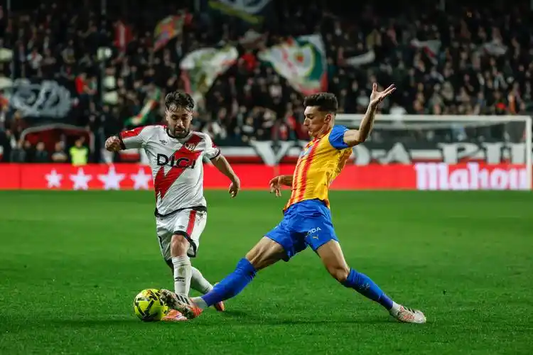 雨燕360体育免费直播